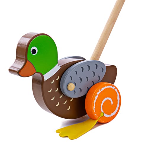 Duck Push Along - Early Learning Fun