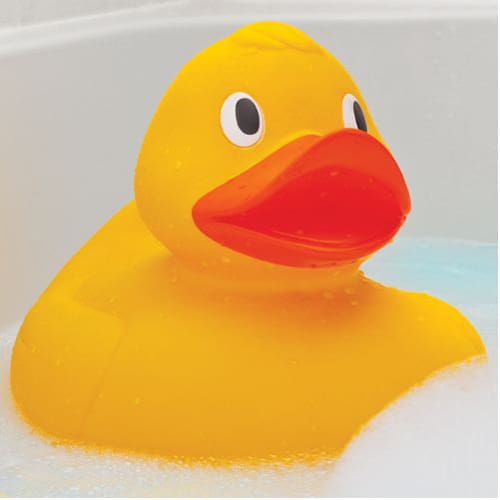 Giant Duck - Bath Play Choice