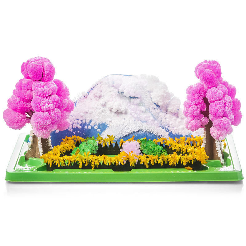 Magic Growing Garden - Sunny Day Play