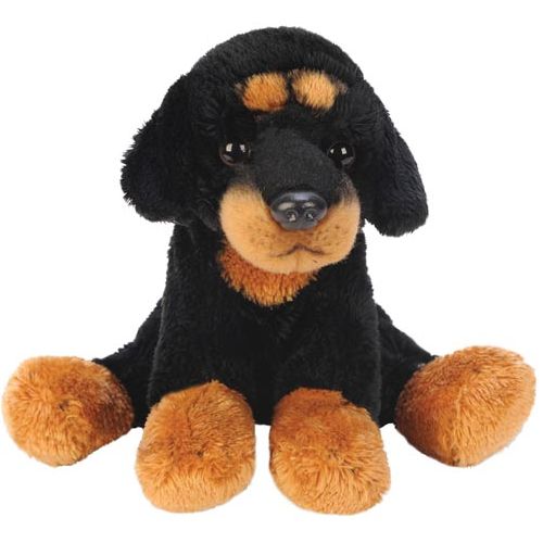 Sitting Rottweiler - Calm Cuddle Buddy